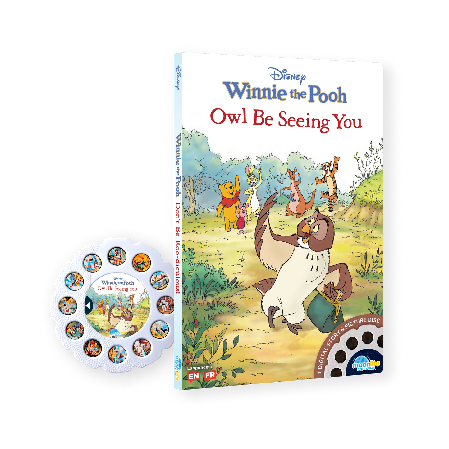 Disney Winnie the Pooh: Owl Be Seeing You Single Story