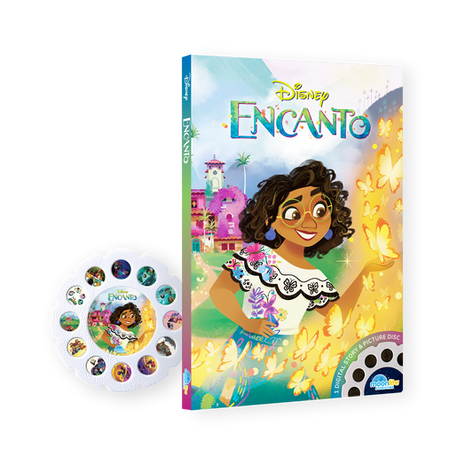 Disney Encanto Single Story